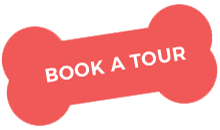 book_a_tour